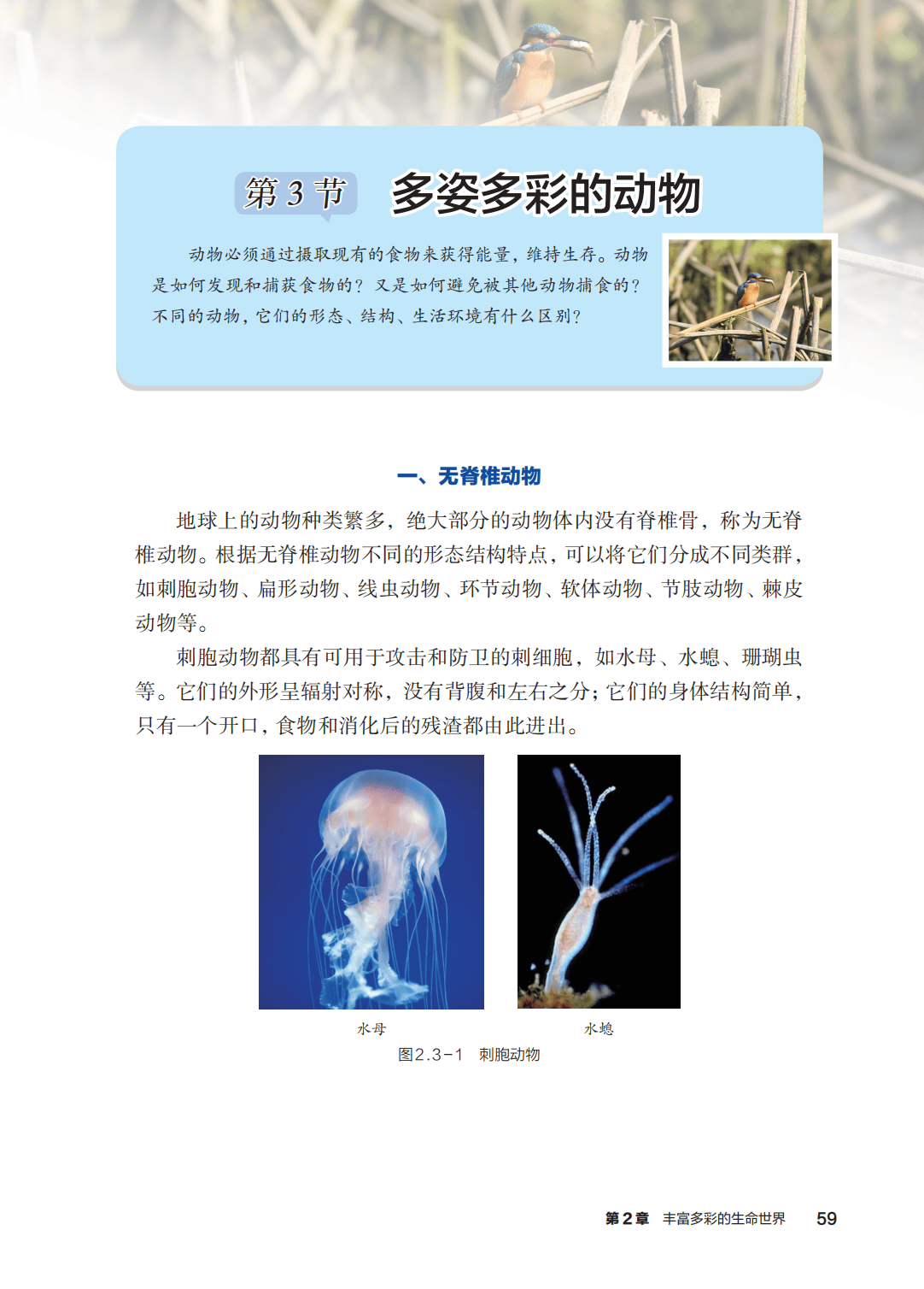 浙教版七年級科學上冊電子課本(2026年新教材)