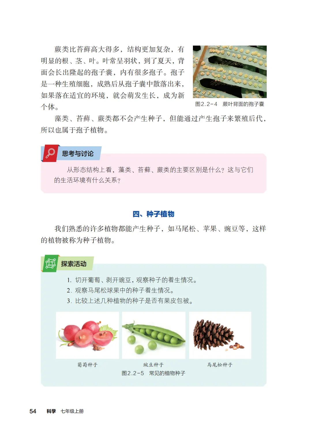 浙教版七年級科學上冊電子課本(2026年新教材)