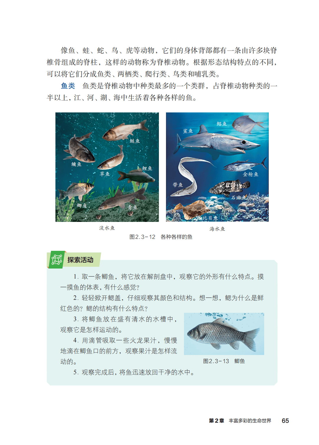 浙教版七年級科學上冊電子課本(2026年新教材)