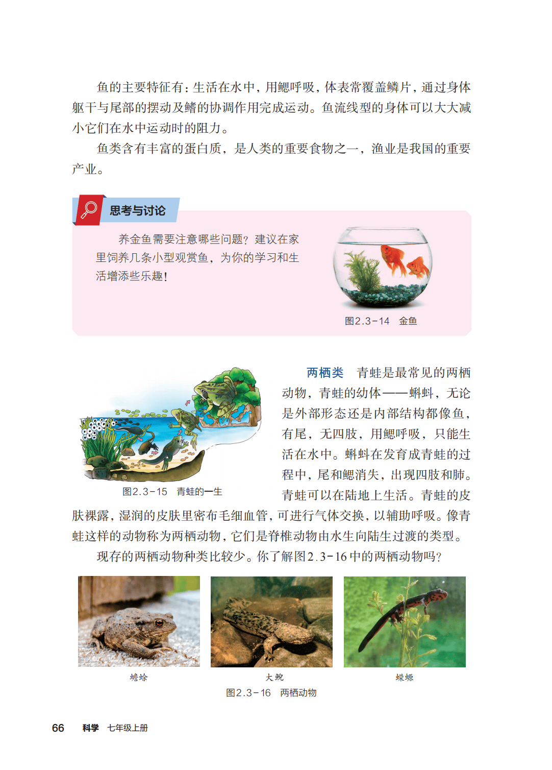 浙教版七年級科學上冊電子課本(2026年新教材)