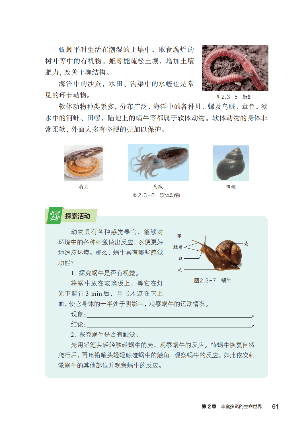 浙教版七年級科學上冊電子課本(2026年新教材)
