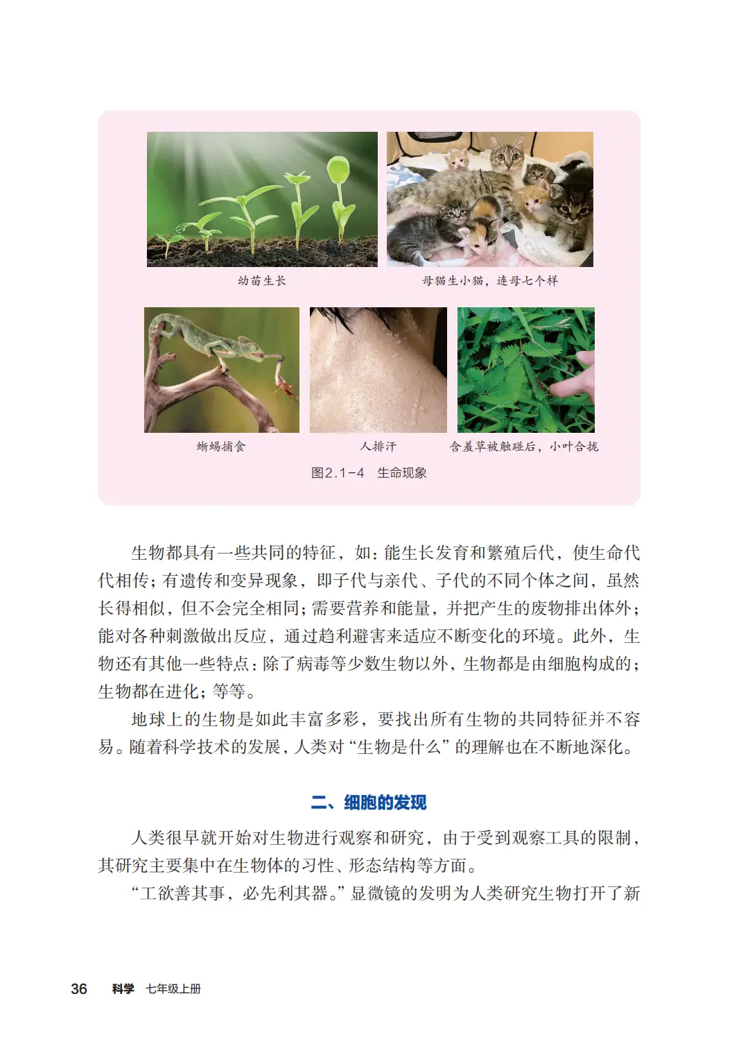 浙教版七年級科學上冊電子課本(2026年新教材)