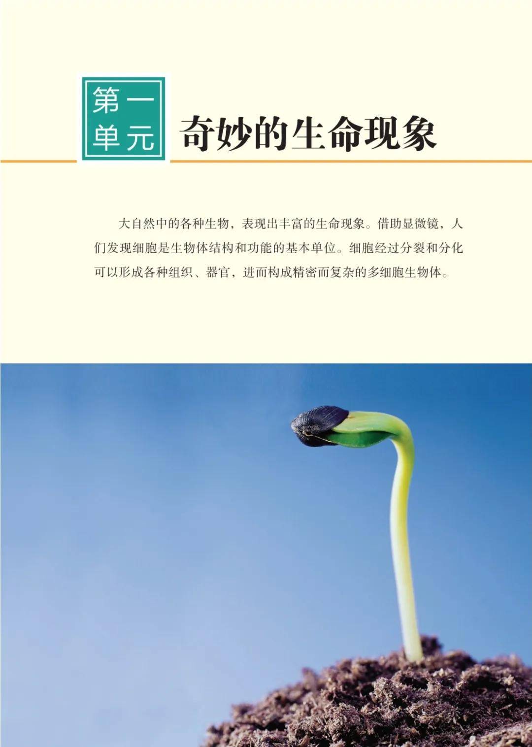 濟南版七年級生物上冊電子課本(2026新教材)