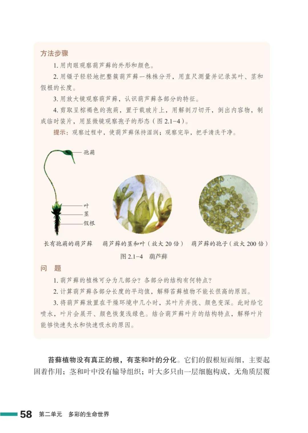濟南版七年級生物上冊電子課本(2026新教材)
