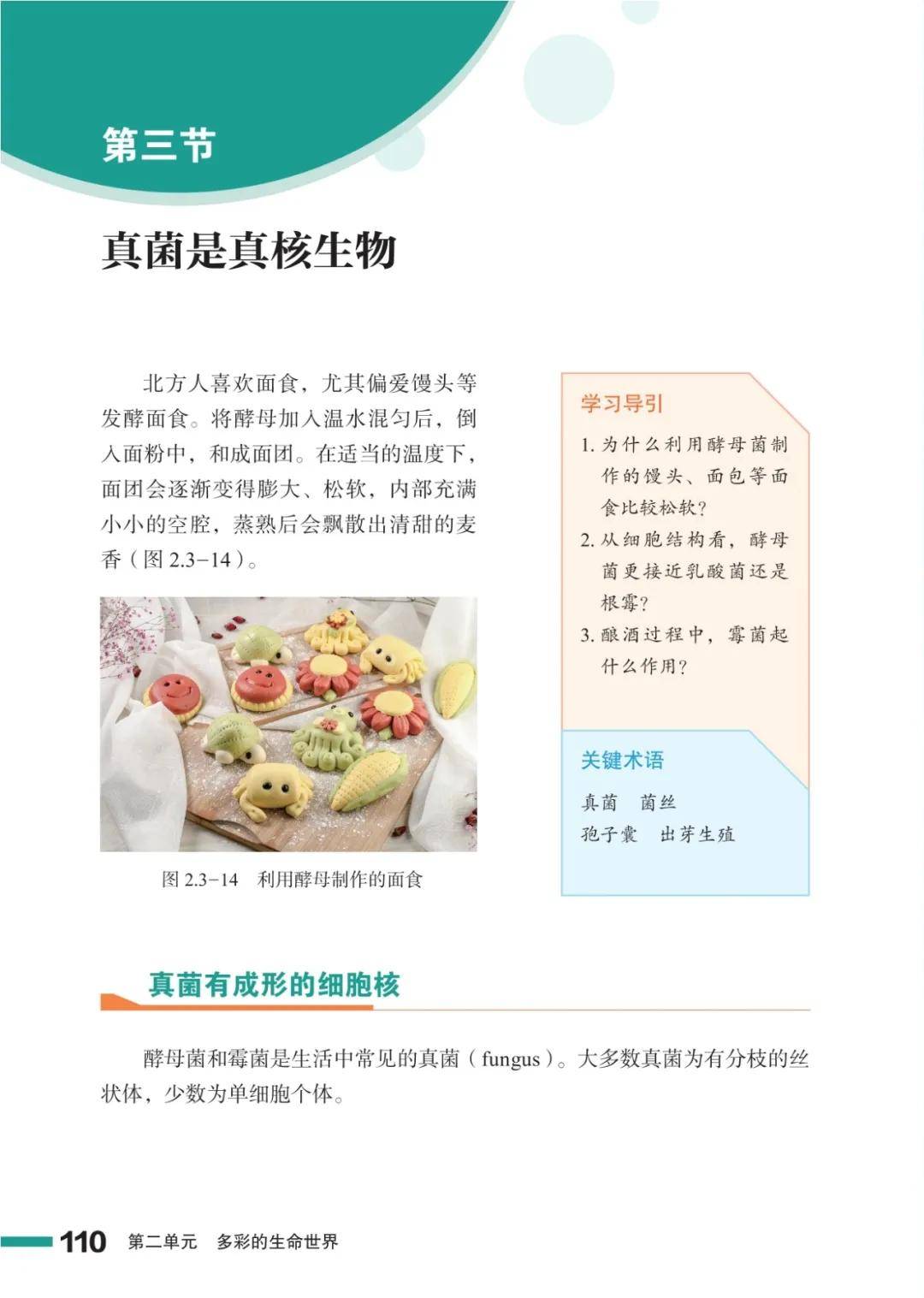 濟南版七年級生物上冊電子課本(2026新教材)