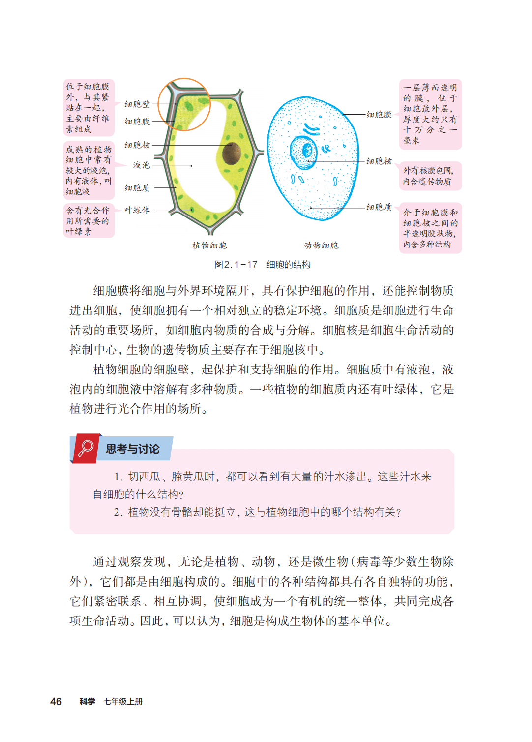 浙教版七年級科學上冊電子課本(2026年新教材)