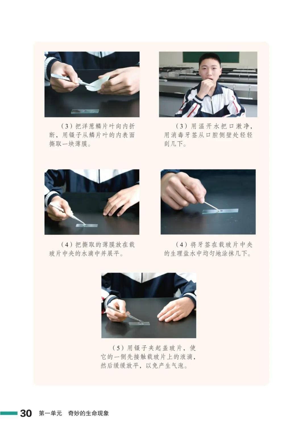 濟南版七年級生物上冊電子課本(2026新教材)