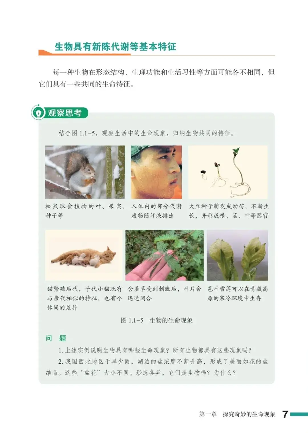 濟南版七年級生物上冊電子課本(2026新教材)
