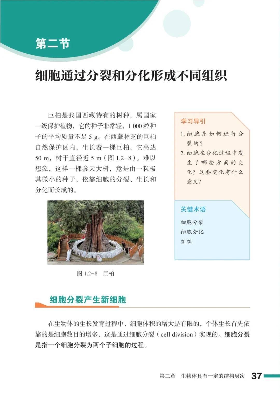 濟南版七年級生物上冊電子課本(2026新教材)