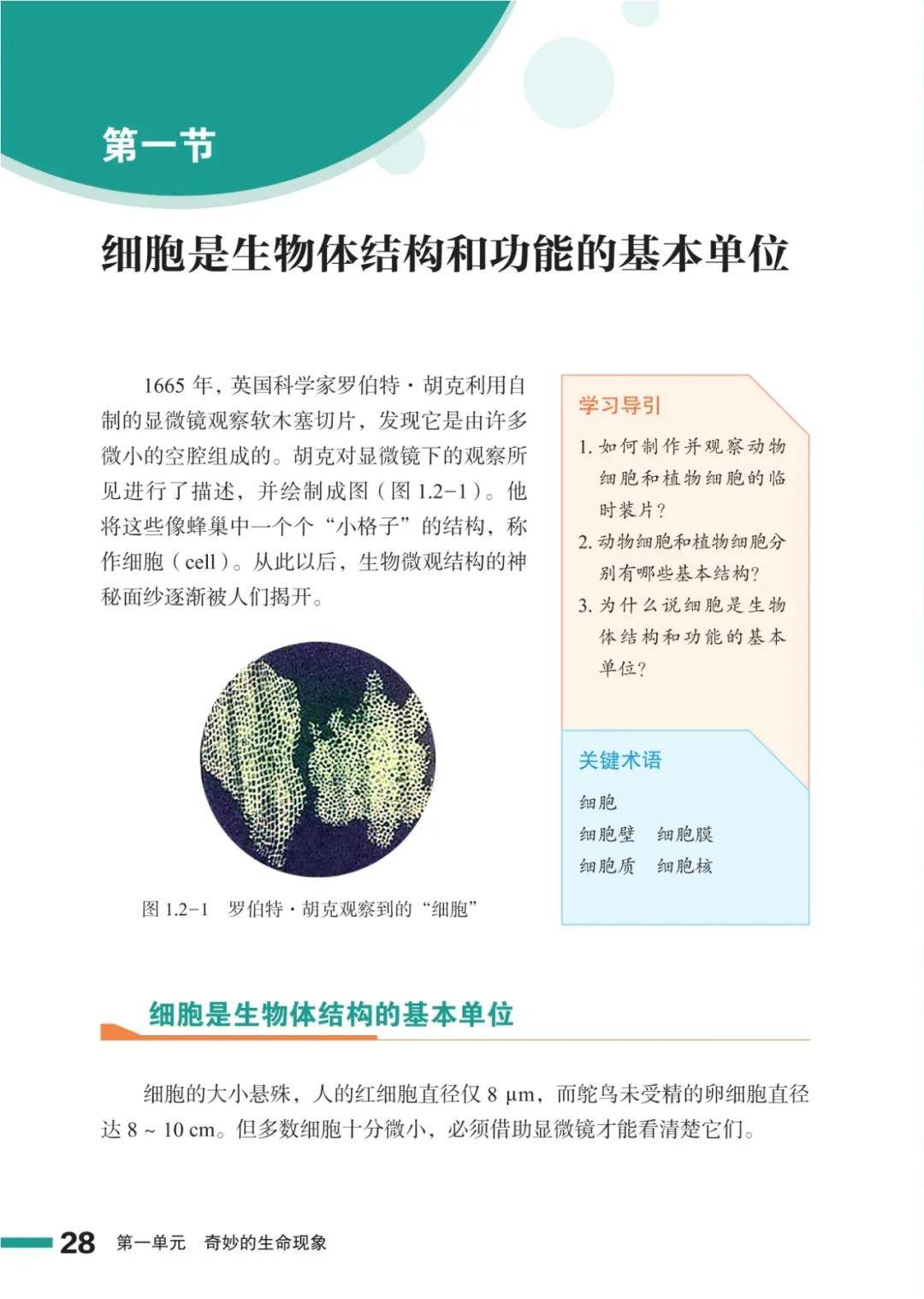 濟南版七年級生物上冊電子課本(2026新教材)