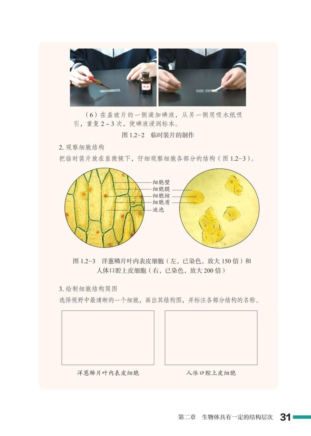 濟南版七年級生物上冊電子課本(2026新教材)