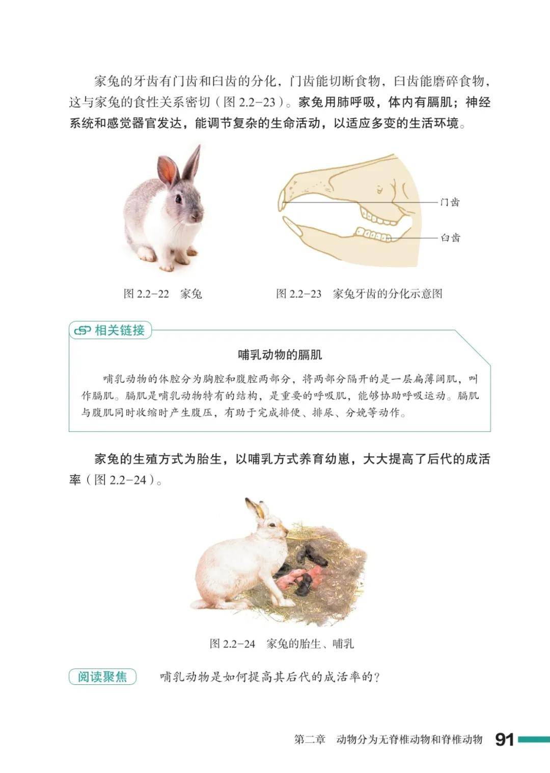 濟南版七年級生物上冊電子課本(2026新教材)