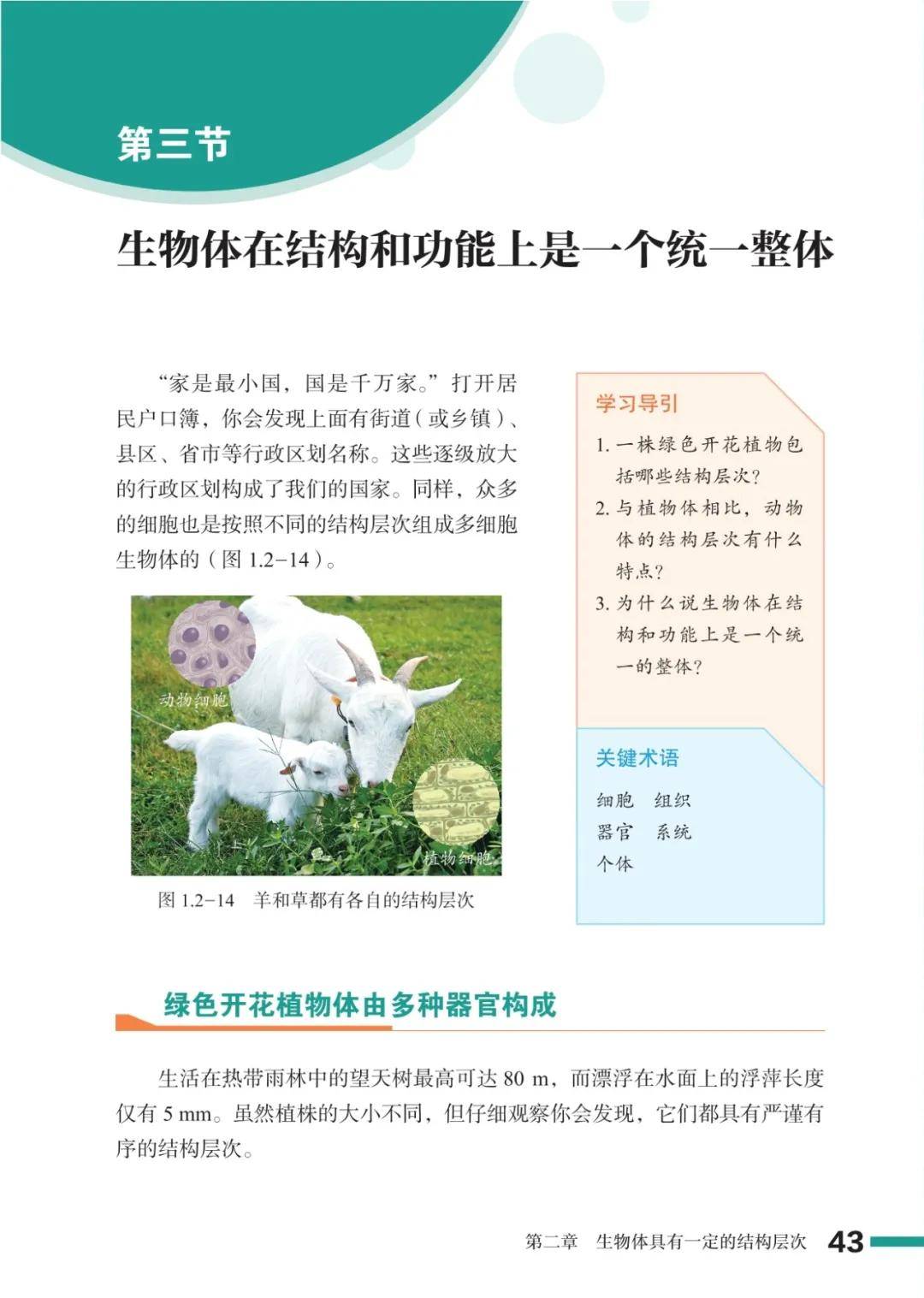 濟南版七年級生物上冊電子課本(2026新教材)