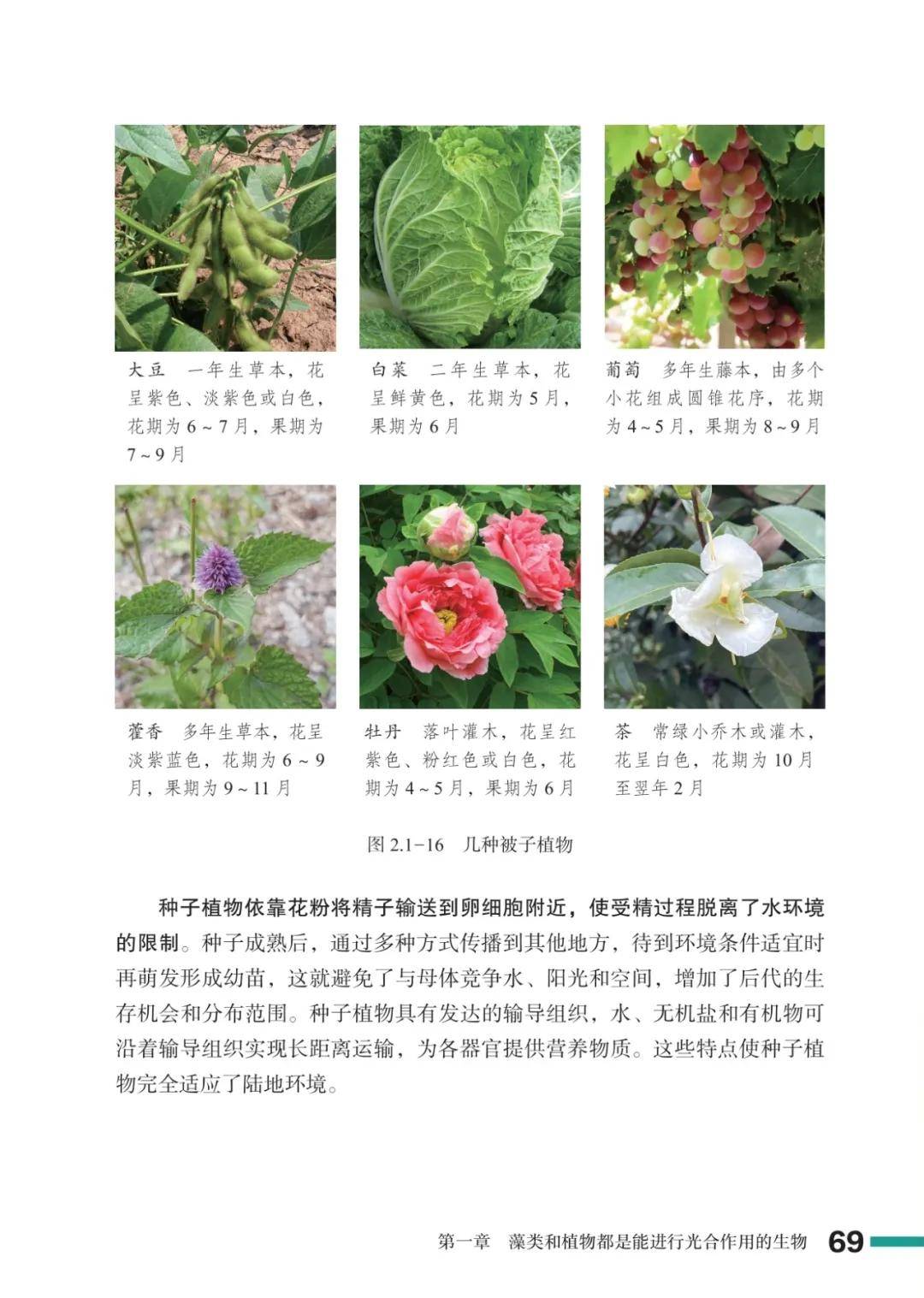 濟南版七年級生物上冊電子課本(2026新教材)
