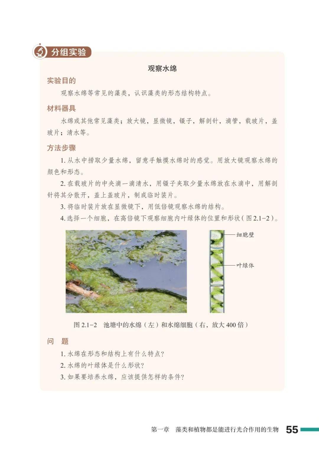 濟南版七年級生物上冊電子課本(2026新教材)