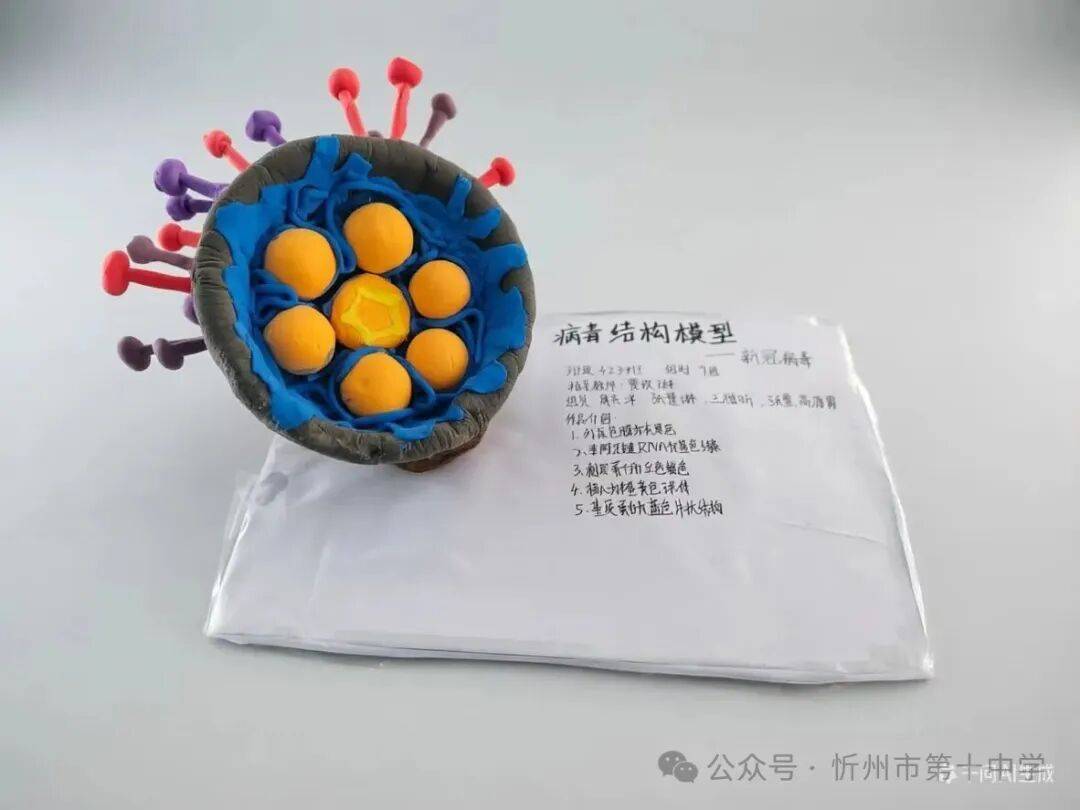 科技點亮青春 創新成就未來——忻州十中舉辦校園科技文化展示活動