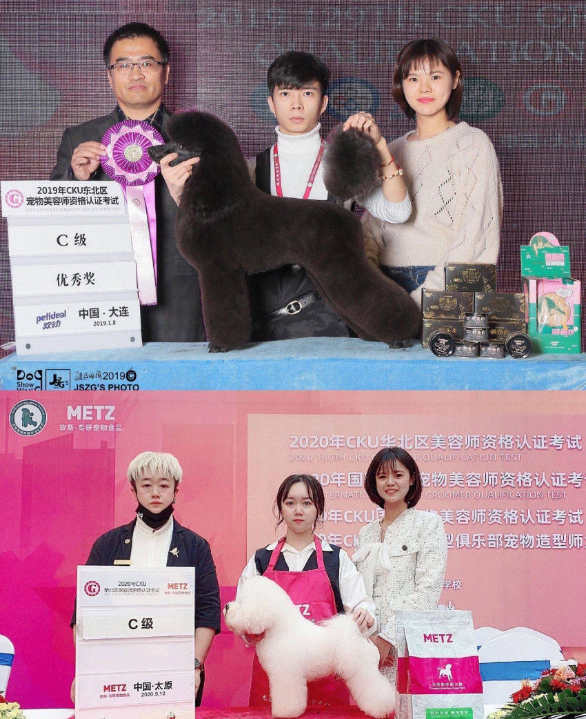 業餘時間學寵物美容 寵物美容行業標準及學習流程細則解讀