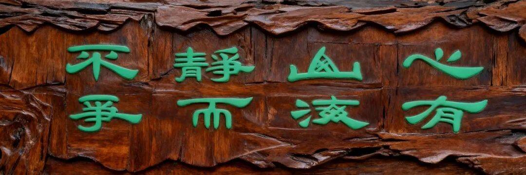 書法家張訓泉——當代實力派書法藝術家