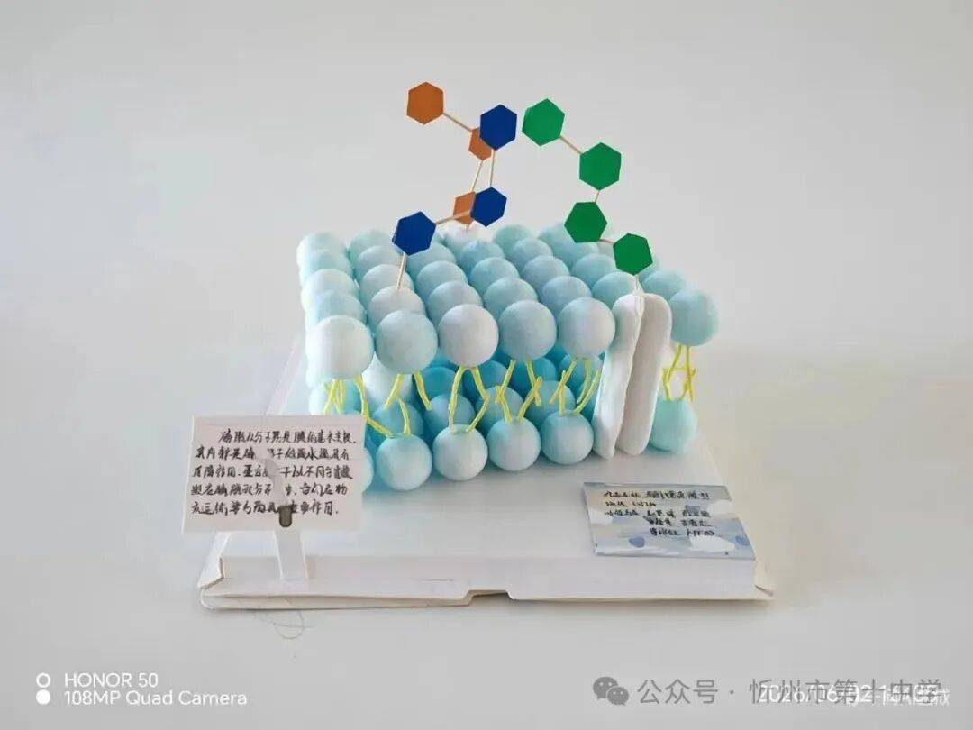 科技點亮青春 創新成就未來——忻州十中舉辦校園科技文化展示活動