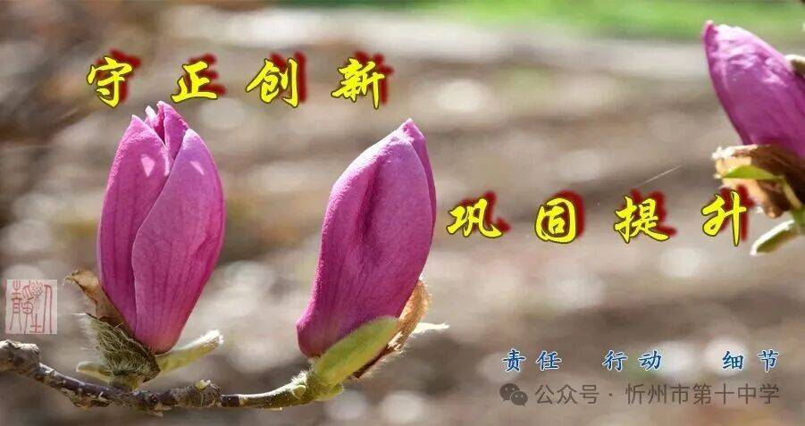 科技點亮青春 創新成就未來——忻州十中舉辦校園科技文化展示活動