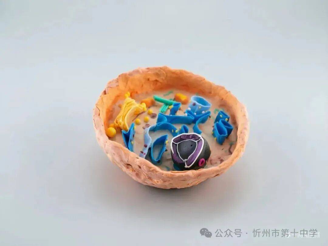 科技點亮青春 創新成就未來——忻州十中舉辦校園科技文化展示活動