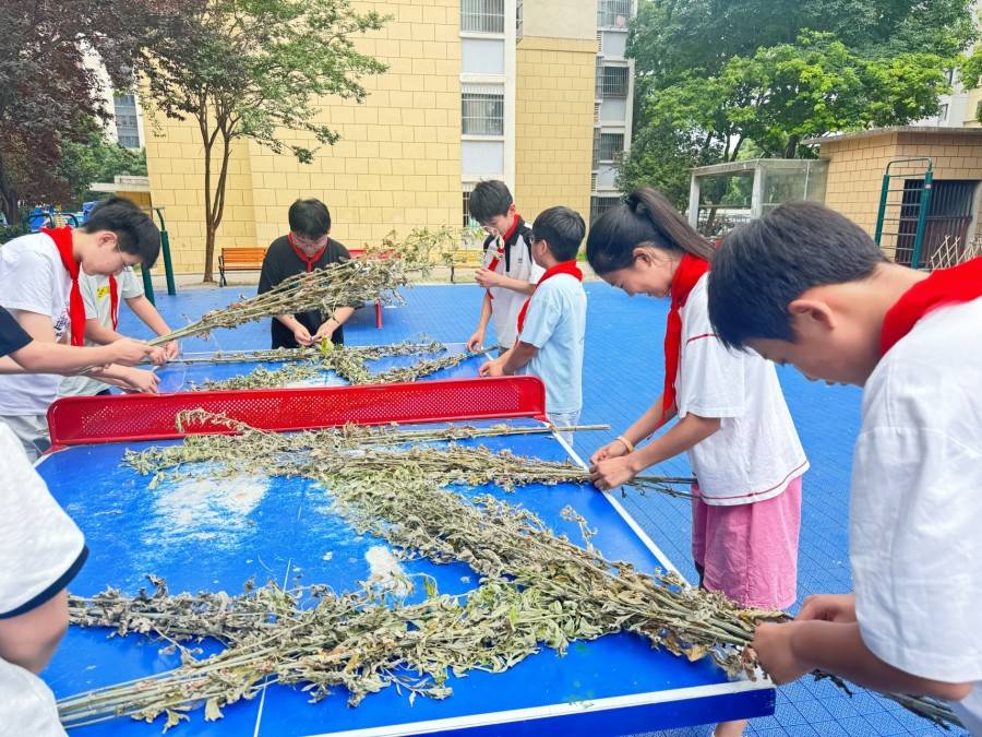 合肥市倫先小學：艾草寄安康 端午潤童心