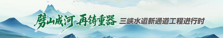呵護2265棵大樹悄然“移民”，大國工程何以如此溫柔
