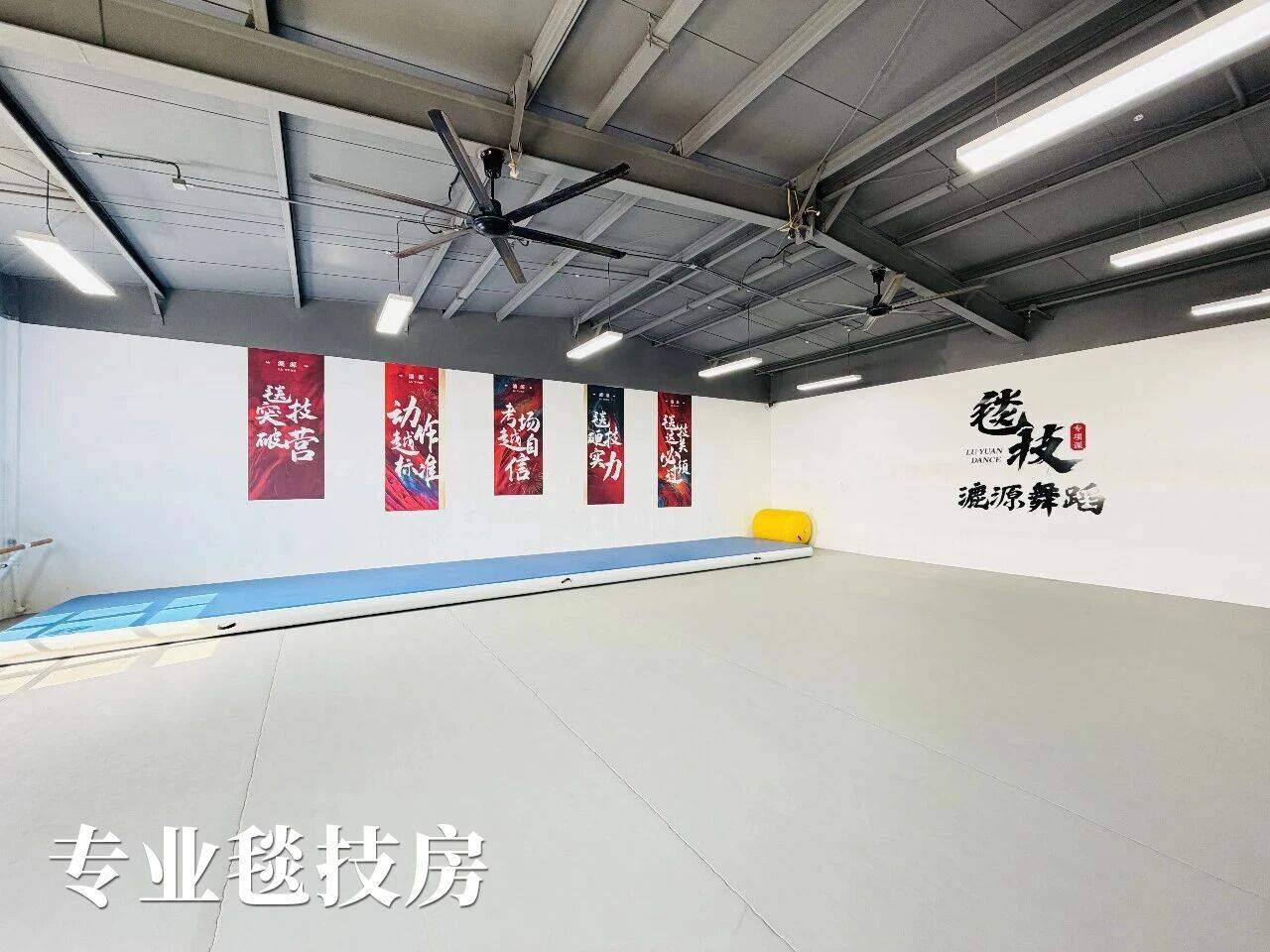 漉源舞蹈藝考：舞蹈藝考毯技訓練科學安全的培訓機構