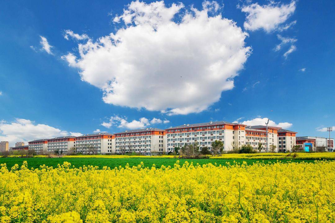 2026上好大學|揚州大學廣陵學院：人才培養優，就業質量高，新增人工智慧專業