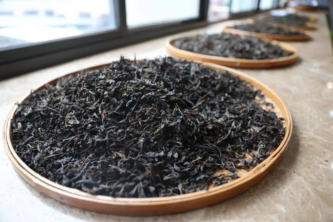 實地探訪｜精耕倉儲養好茶 科學貯存鑄就黑茶醇厚風味