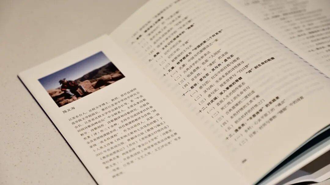 讀懂江蘇詩歌，《江蘇當代詩歌論綱》這一本就夠了