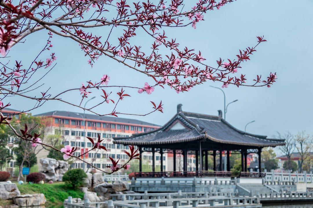 2026上好大學|揚州大學廣陵學院：人才培養優，就業質量高，新增人工智慧專業