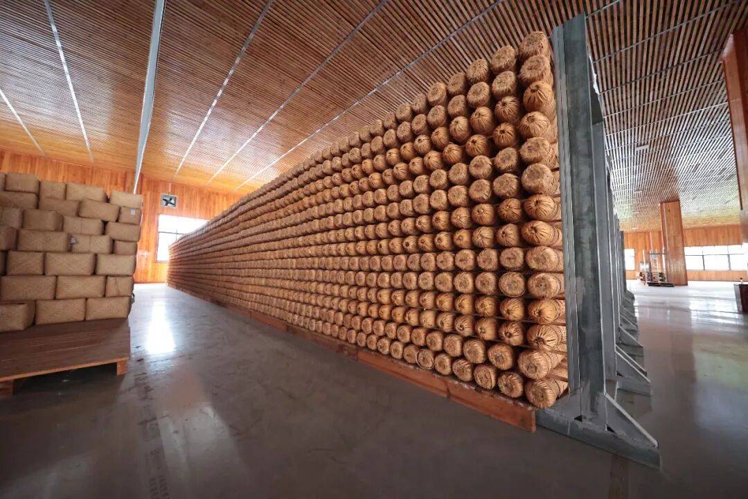 實地探訪｜精耕倉儲養好茶 科學貯存鑄就黑茶醇厚風味