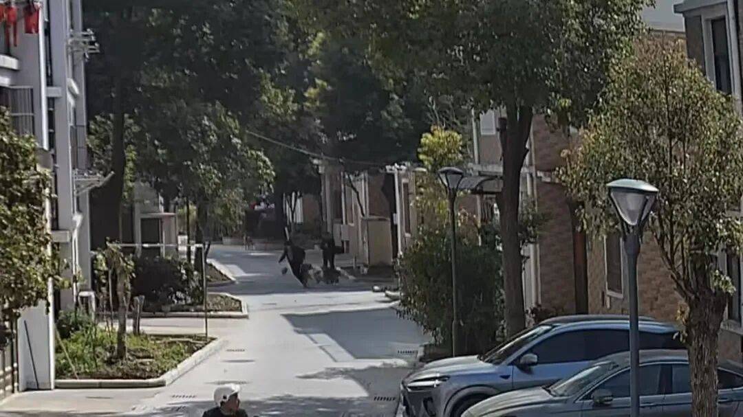 揚州一大型犬與柴犬打鬧，撲倒老人致手腕骨折，大型犬主人：正走法律程式，不會拒賠