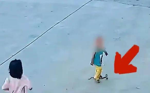 原創眼鏡蛇潛伏門前被2幼童接連踩中！家長：沒咬人，只是擺出攻擊姿態
