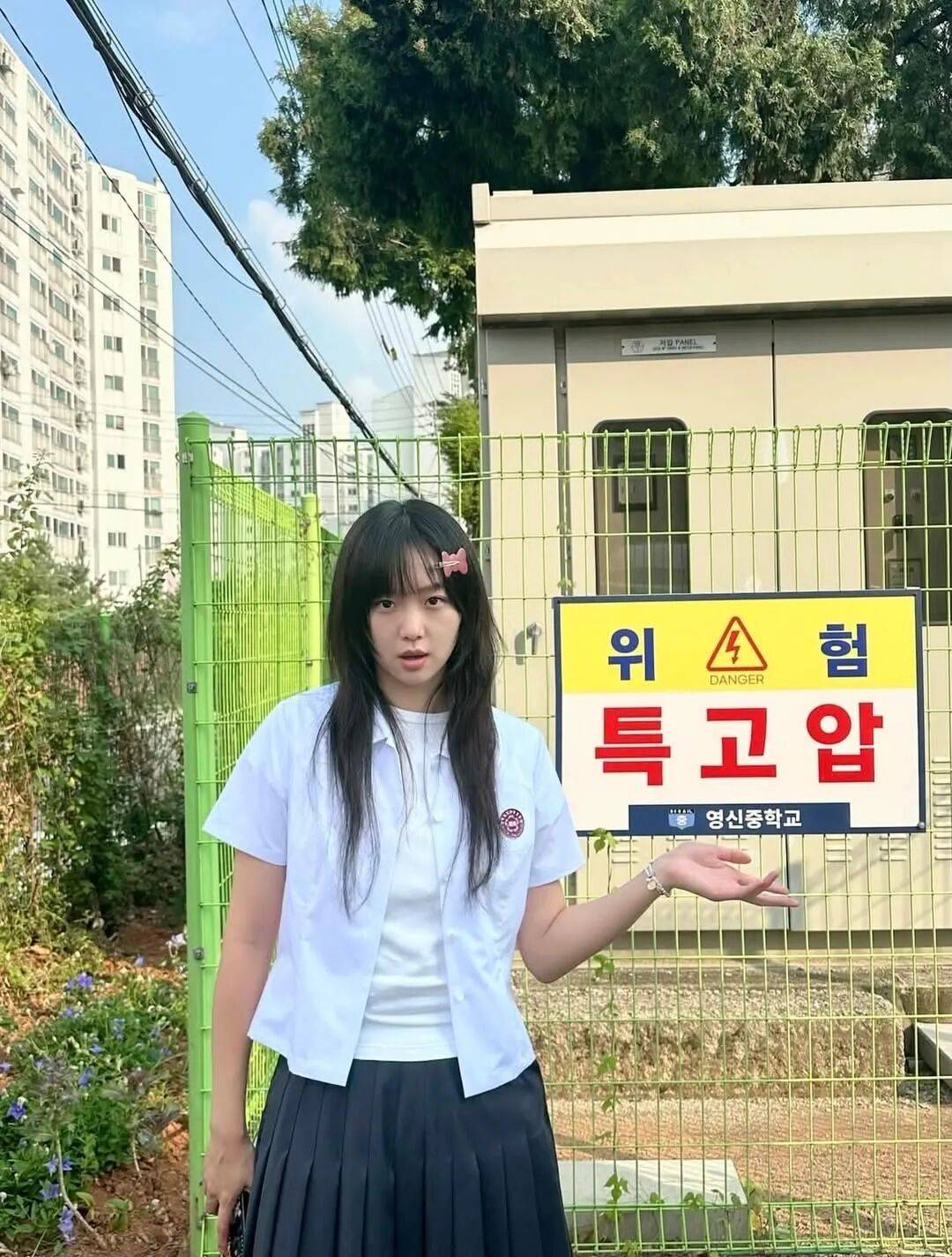 劇圈最大黑馬《鐵拳教育》，校園劇還能這麼拍？！