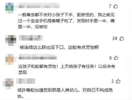 原創眼鏡蛇潛伏門前被2幼童接連踩中！家長：沒咬人，只是擺出攻擊姿態