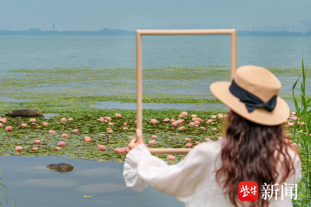 長三角“消夏目的地”競逐，吳江憑什麼登上親子家庭“收藏熱榜”？