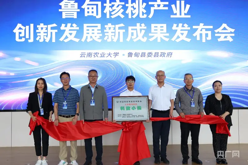 雲南核桃醬油科技成果在魯甸釋出 助推核桃產業延鏈升級