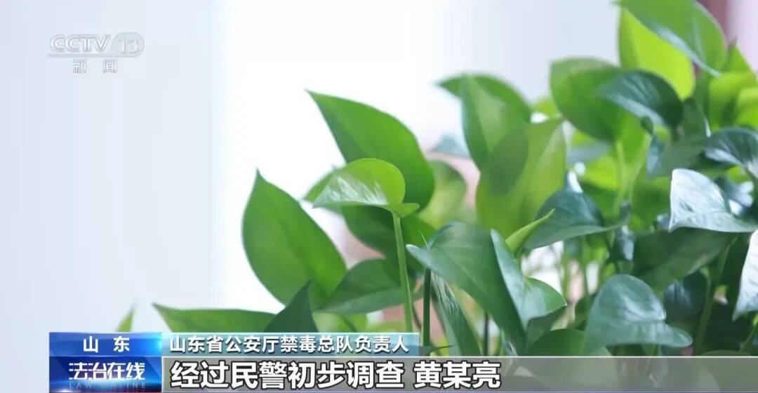 高校退休教師幫助研究生製毒被捕