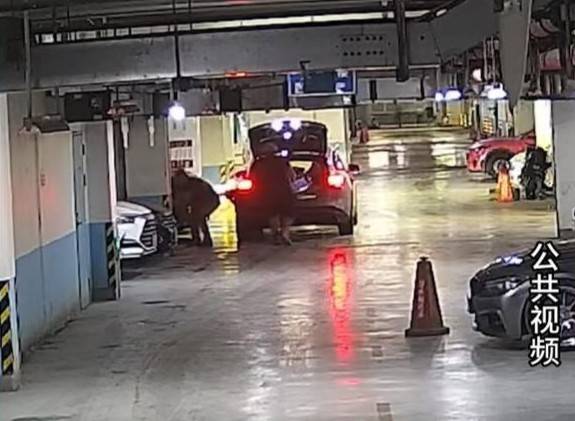 百萬豪車停在地庫，竟被“螞蟻搬家式”拆光賣了！