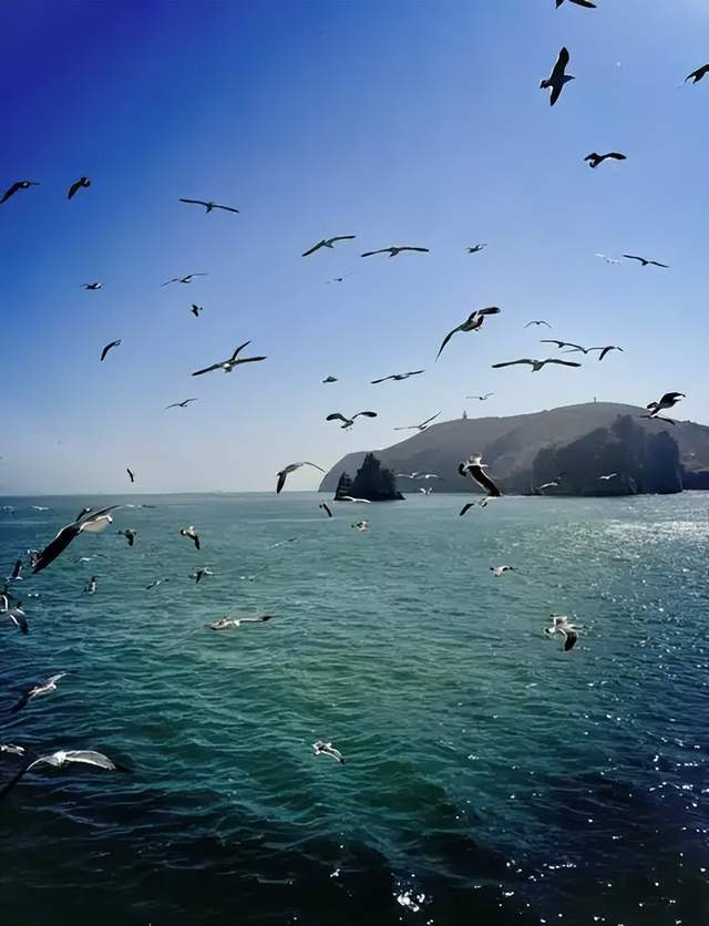 畢業旅遊，山東煙臺這個海島值得打卡！
