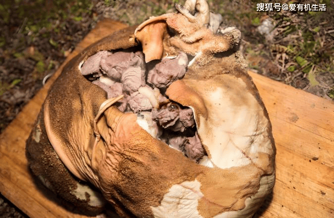 原創甘南美食三絕：藏地舌尖上的黃金組合