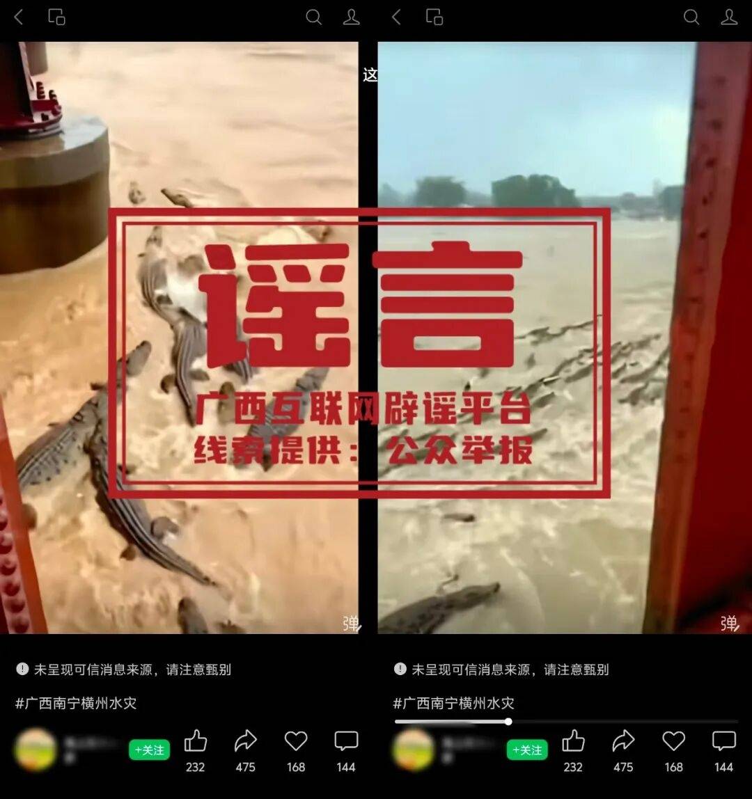 闢謠：“廣西洪澇有鱷魚逃出” 系異地舊素材嫁接，與廣西實際汛情無關