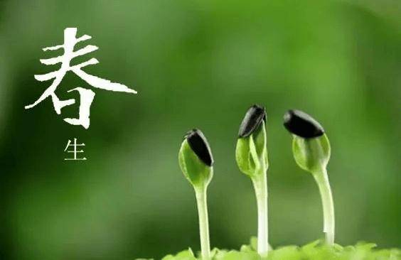 回春導引妙術（建議收藏）