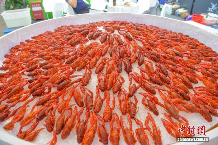 2026新疆美食嘉年華系列活動人氣火熱