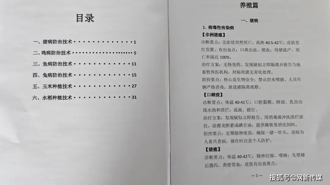 巴中市恩陽區職業中學師生送技下鄉 賦能鄉村振興