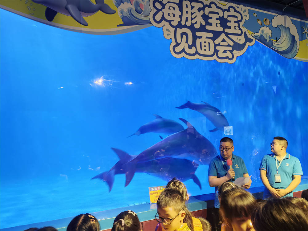 高原添新丁，萌豚徵黔名！貴州海洋館成功批次繁育三隻小海豚，邀您為“高原寶寶”起名