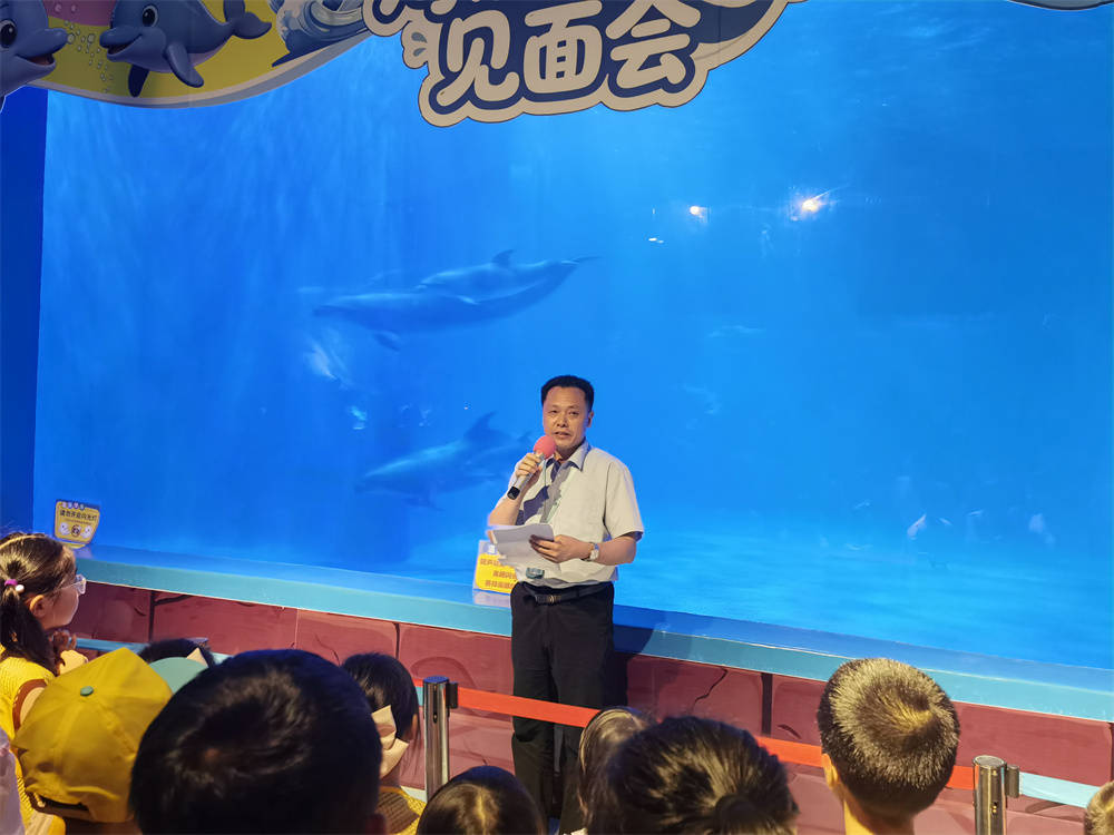高原添新丁，萌豚徵黔名！貴州海洋館成功批次繁育三隻小海豚，邀您為“高原寶寶”起名