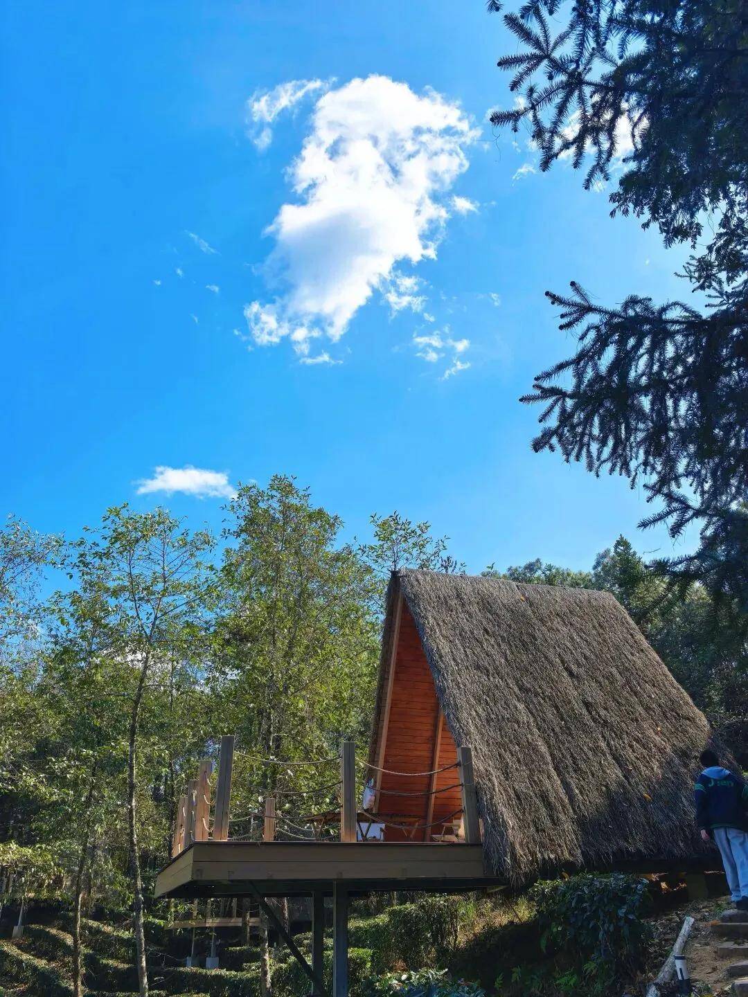 旅遊不如旅居｜這個暑假，換一種方式避暑 #旅居避暑聖地排名
